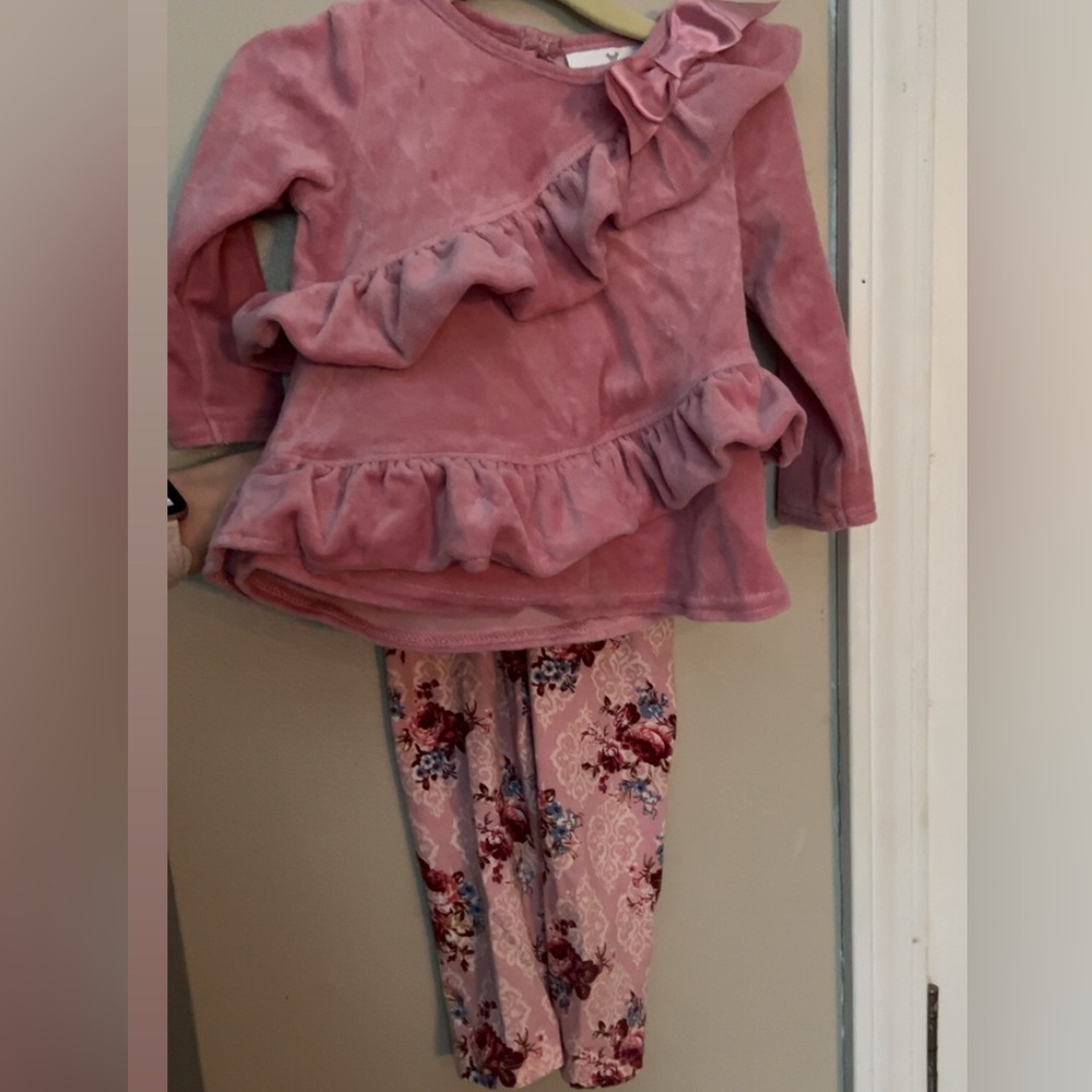 Toddler girls 2 piece set
Velvet top 
Floral pants
